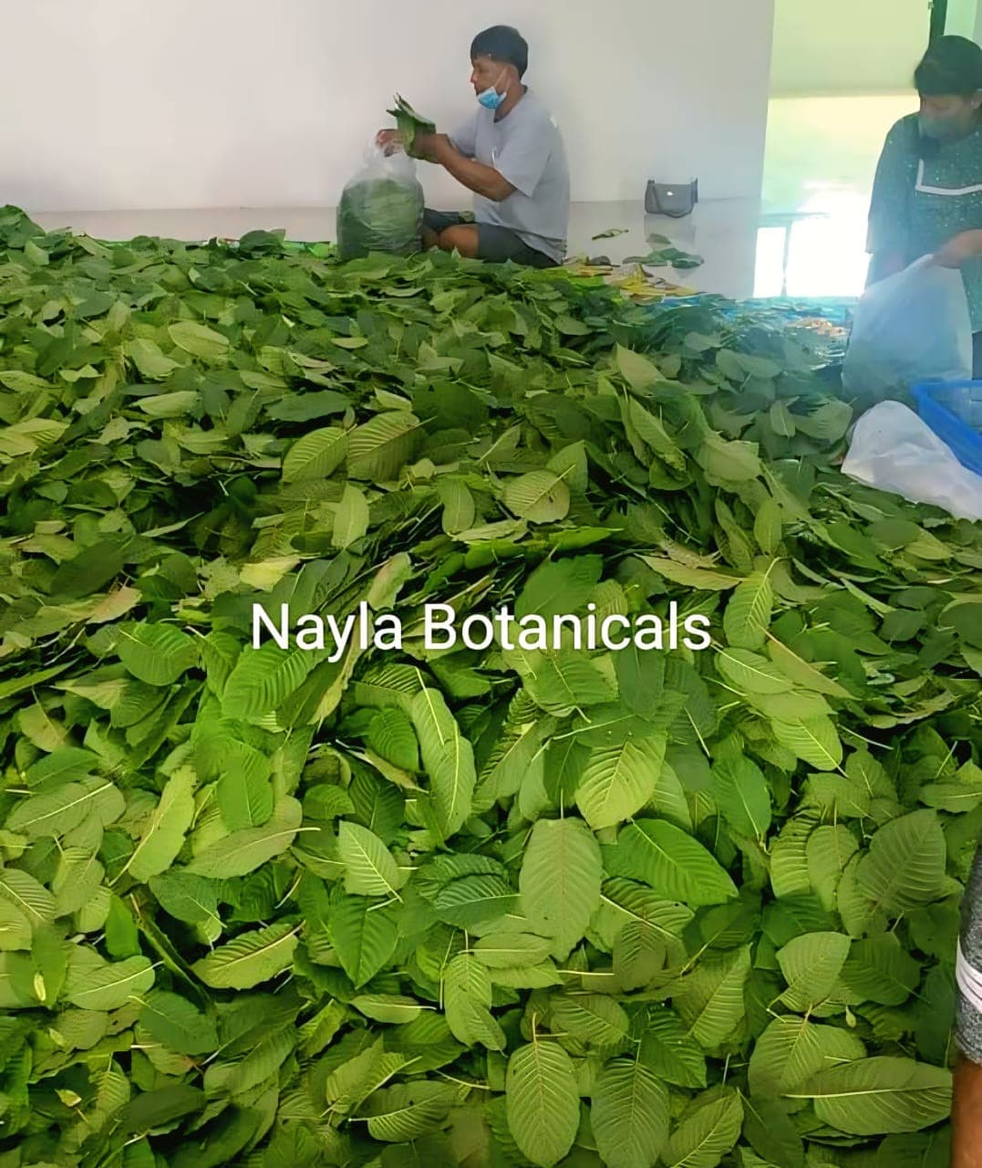 Committed to High Standards and Years of Experience